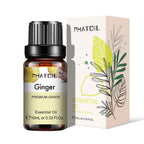 Luxe Aroma | Humidifier Oils
