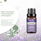 Luxe Aroma | Humidifier Oils