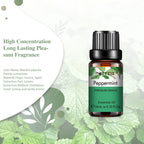 Luxe Aroma | Humidifier Oils