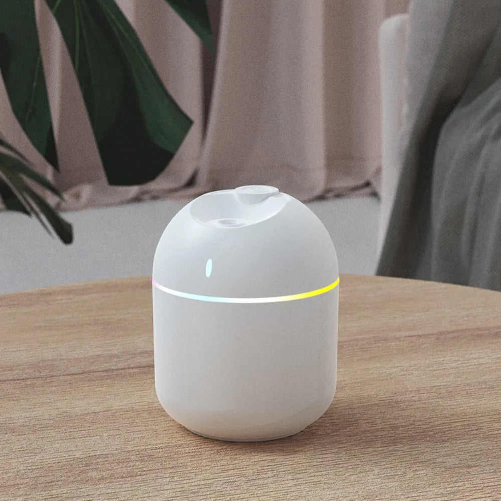 Embera Humidifier