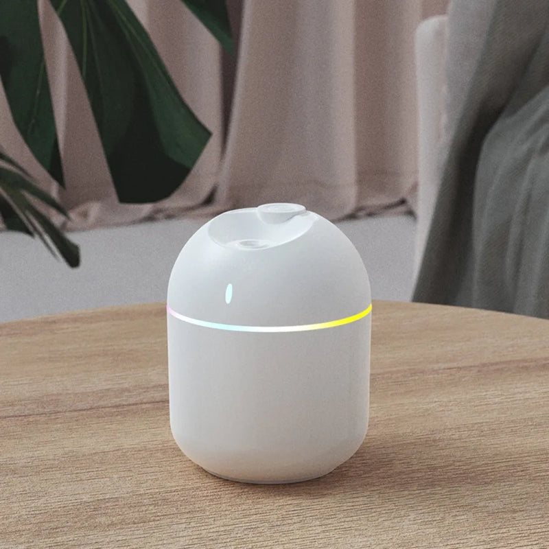 Embera Humidifier