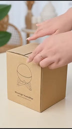 Moonlight Humidifier